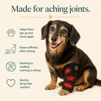 Red Light Therapy Leg Wrap for Arthritic Dogs