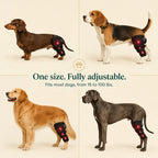 Red Light Therapy Leg Wrap for Arthritic Dogs
