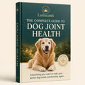 The Complete Guide To Dog Joint Health