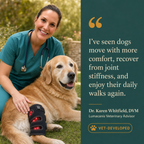 Red Light Therapy Leg Wrap for Arthritic Dogs