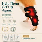 Red Light Therapy Leg Wrap for Arthritic Dogs