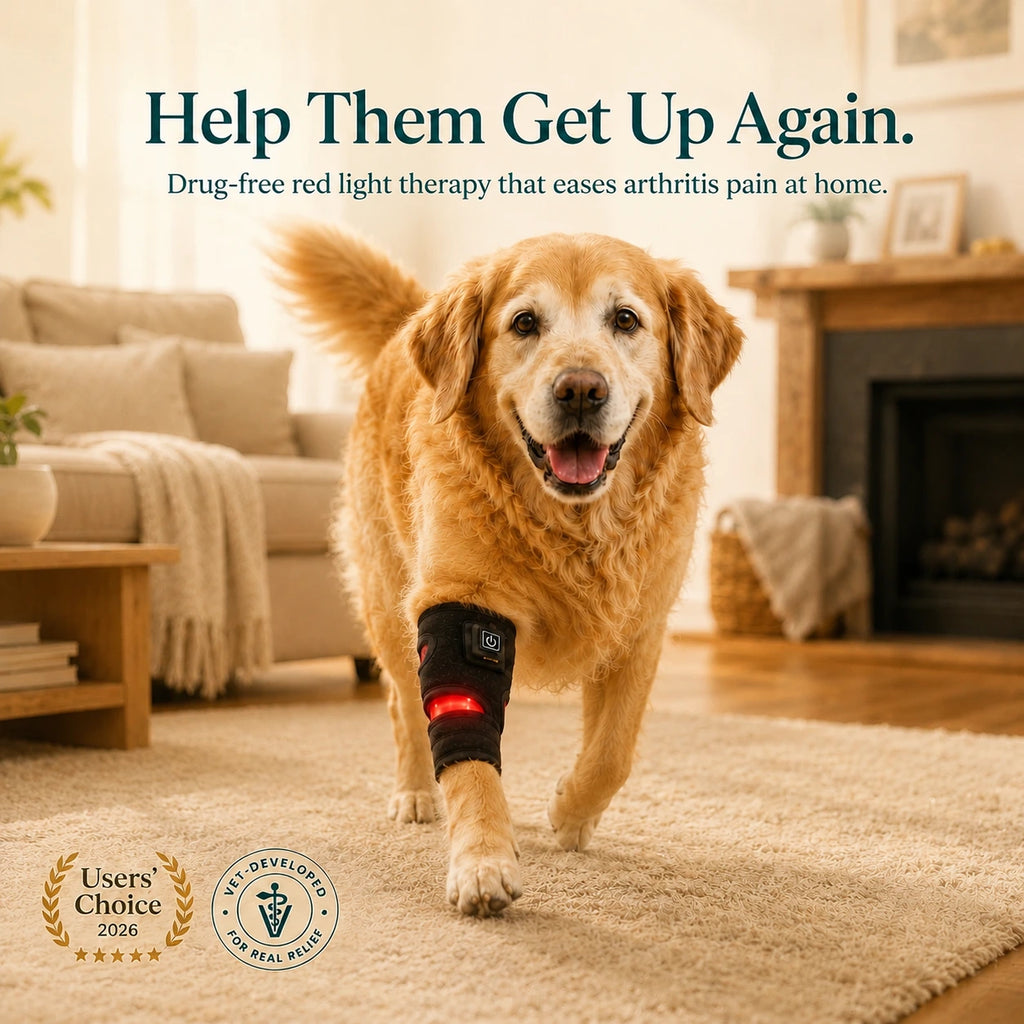 Red + Near-Infrared Leg-Joint Wrap for Arthritic Dogs