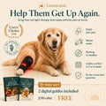 Red Light Therapy Leg Wrap for Arthritic Dogs