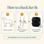 Red + Near-Infrared Leg-Joint Wrap for Arthritic Dogs