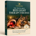 The Truth About Red Light Therapy For Dogs